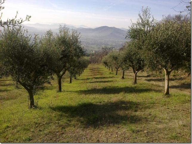 Apartment Il Cardellino Residenze Rurali App1 San Valentino di Villa