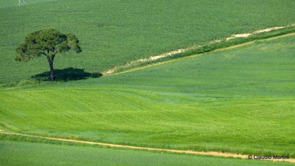 Il Cardellino Residenze Rurali App1