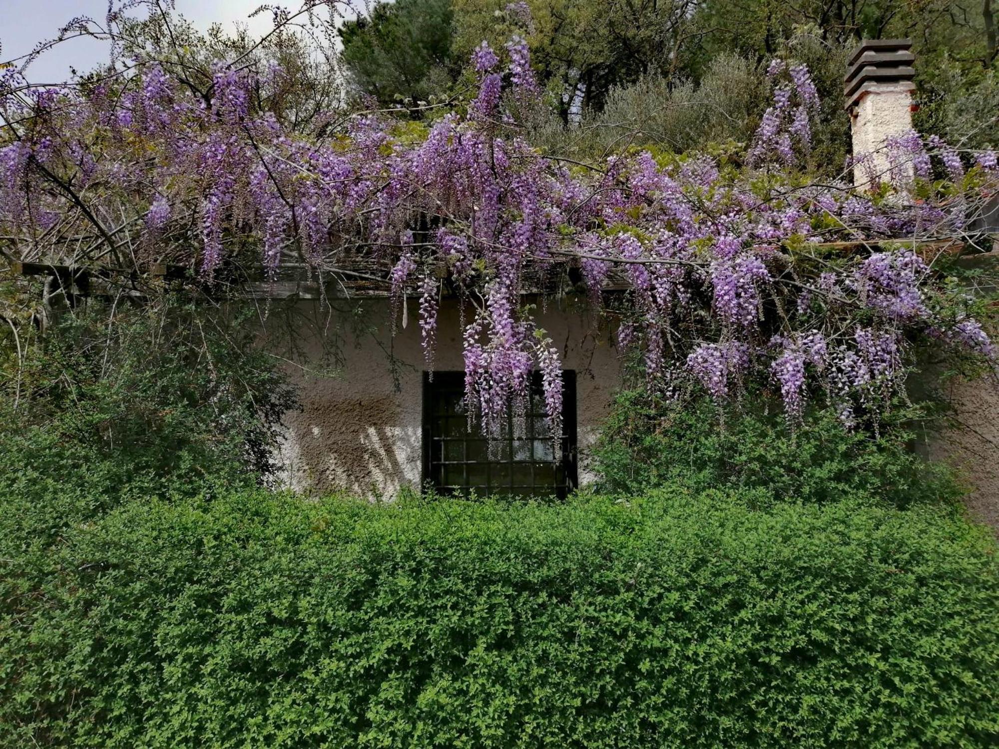 Il Cardellino Residenze Rurali App1 *